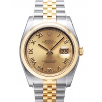 Rolex Datejust Watches Ref.116203-12