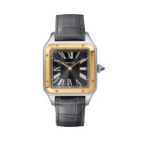 Replica Cartier Santos Dumont 43.5mm Gents W2SA0015